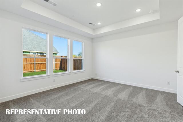 1822 Spearmint, Street Celina, TX photo 11