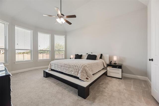 3815 Alleyton, Way Celina, TX photo 12