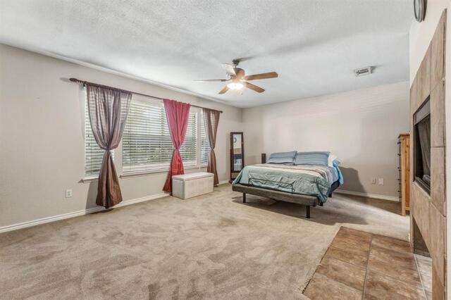 1817 Lake Whitney, Lane Allen, TX photo 17