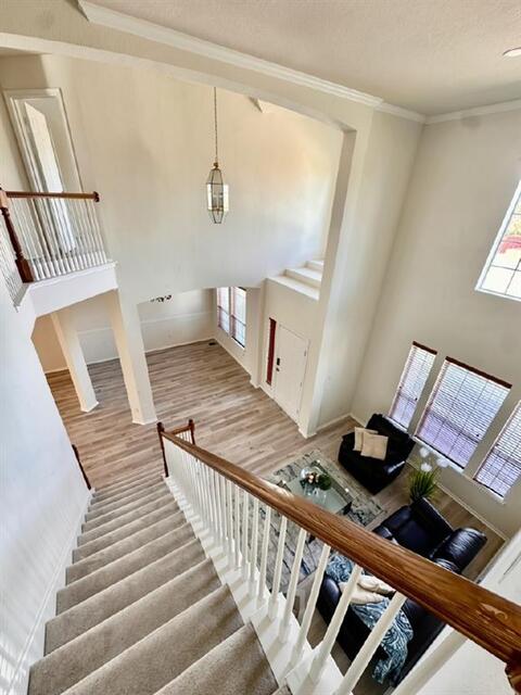 5429 Norris Drive, The Colony, TX photo 23