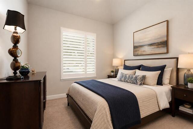 1012 Terra Vista, Drive Allen, TX photo 21