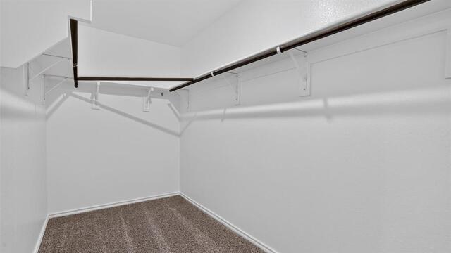 7733 Royal Fern, Drive Denton, TX photo 16