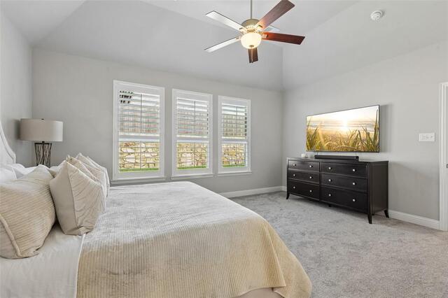 2500 Ever Birch, Way McKinney, TX photo 35