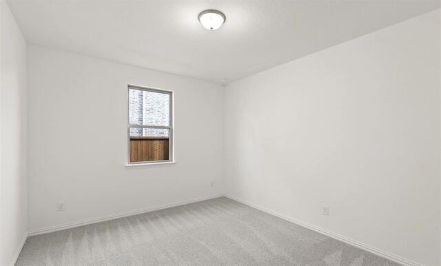 3301 Big Stump, Court Celina, TX photo 17