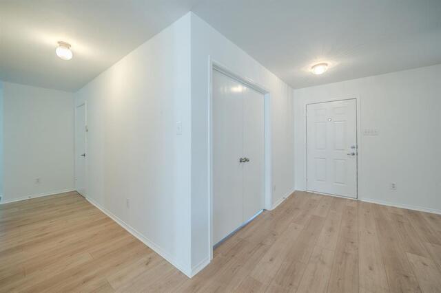 9917 George Washington, Drive McKinney, TX photo 16
