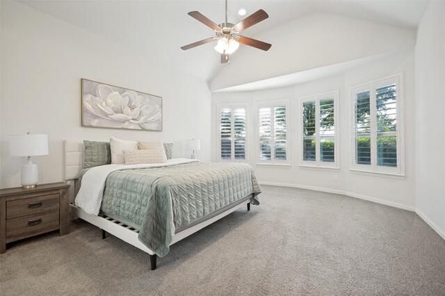 6213 Cedar Sage Trail, Flower Mound, TX photo 12