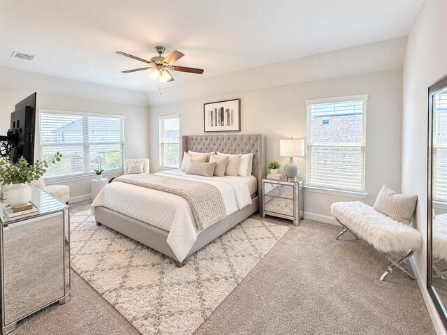 2065 Almassera Drive, Little Elm, TX photo 15