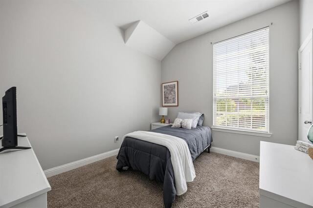 9901 Trinity Drive, Little Elm, TX photo 25