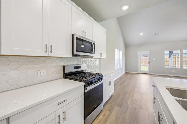 2524 Nicole, Drive Denton, TX photo 6