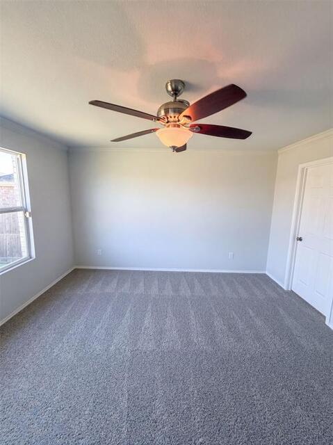 3029 Adrian Creek Drive, Little Elm, TX photo 8