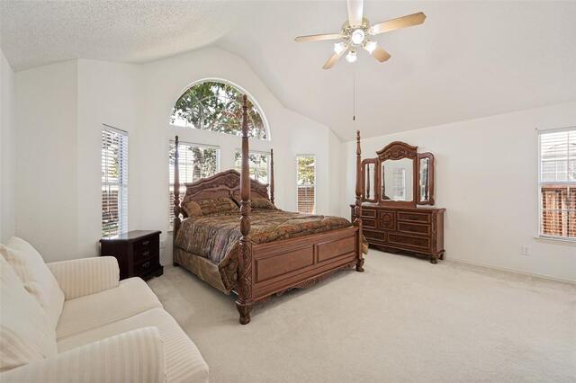 2710 Cheverny, Drive McKinney, TX photo 15