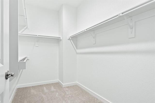 2032 Aldrich, Mews Celina, TX photo 30
