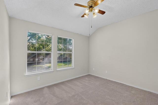1533 Rustic, Trail Allen, TX photo 23