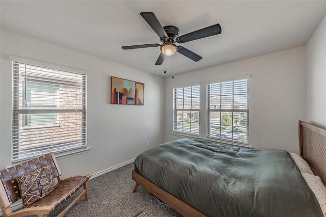 317 Willowmore Drive, Little Elm, TX photo 23