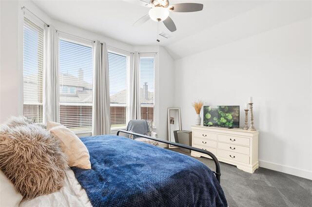 10104 Bitterroot Drive, Little Elm, TX photo 17