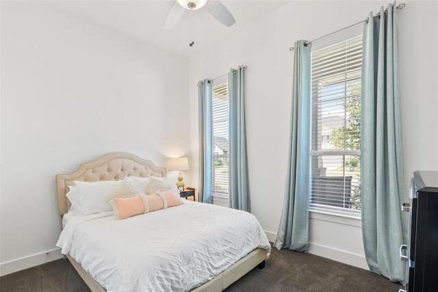10104 Bitterroot Drive, Little Elm, TX photo 25