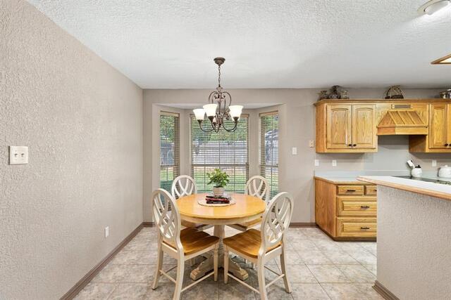 3713 Pheasant, Hollow Denton, TX photo 13