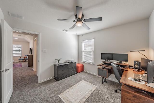 317 Willowmore Drive, Little Elm, TX photo 28