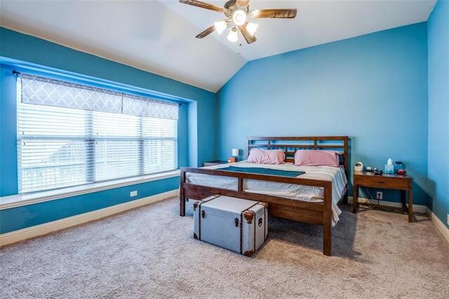 9312 Wellington Drive, Little Elm, TX photo 22
