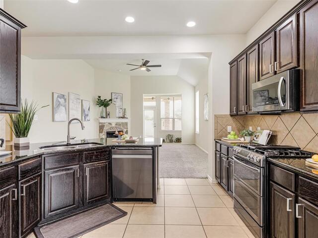 1317 Wheatear Drive, Little Elm, TX photo 12