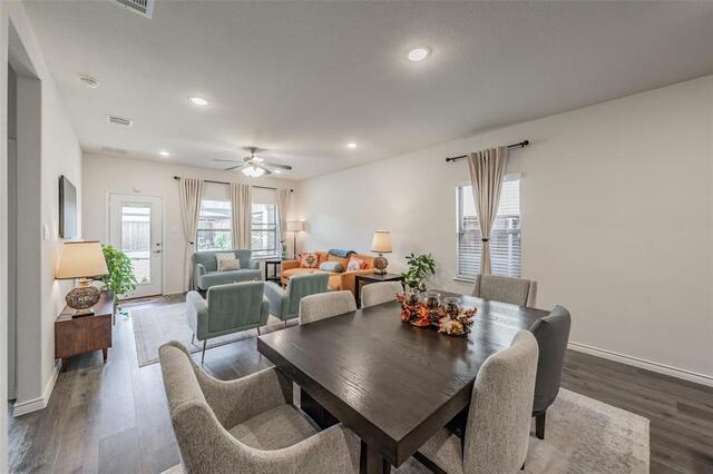 317 Willowmore Drive, Little Elm, TX photo 9