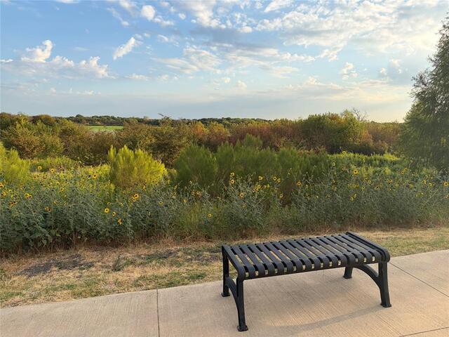1909 Miramar Court, Little Elm, TX photo 13