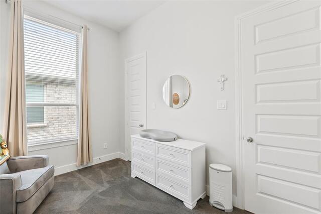 10104 Bitterroot Drive, Little Elm, TX photo 31