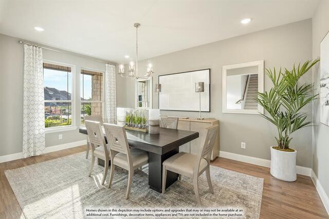833 Rain Lilly Street, Little Elm, TX photo 4