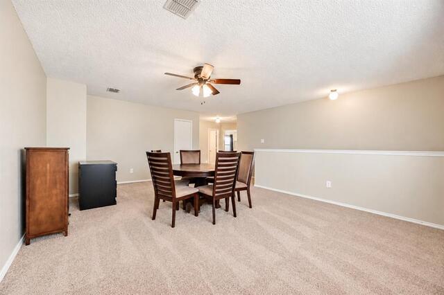 2517 Brinlee Branch, Lane McKinney, TX photo 19