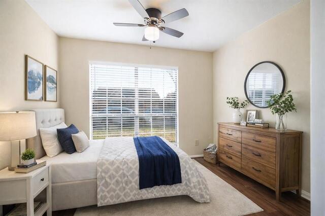 4638 Carr Street, The Colony, TX photo 5