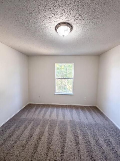 441 Longshore Drive, Little Elm, TX photo 18