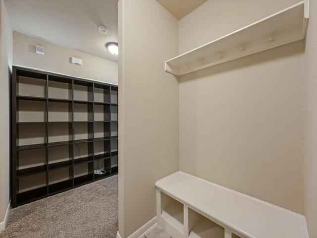 2416 Morning Dew Drive, Little Elm, TX photo 16