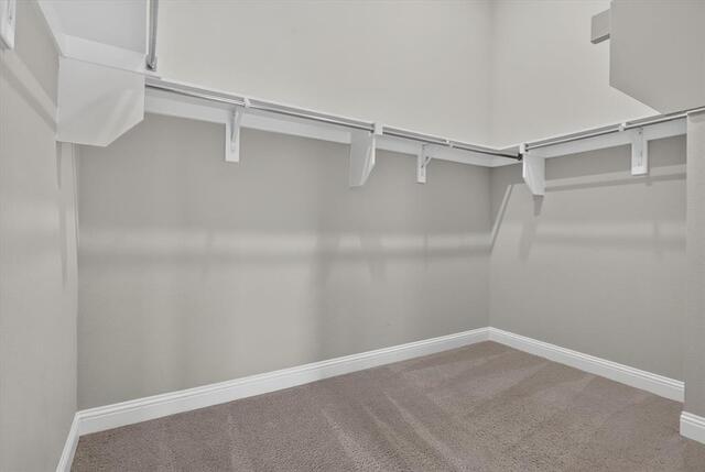 10105 Bitterroot Drive, Little Elm, TX photo 34