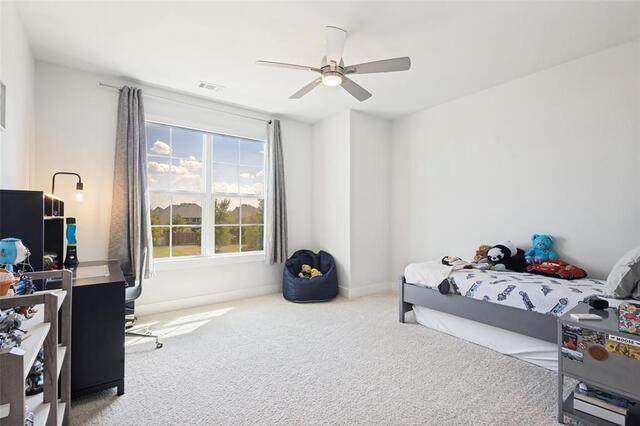 15018 Crape Myrtle, Road Frisco, TX photo 22