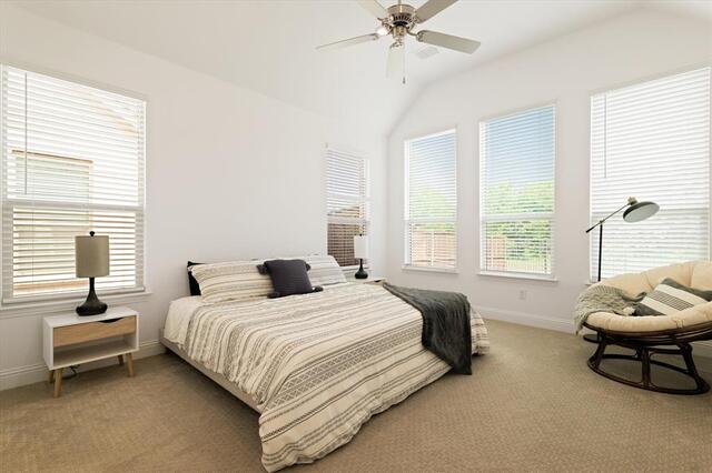 302 Dove Falls, Drive Argyle, TX photo 12