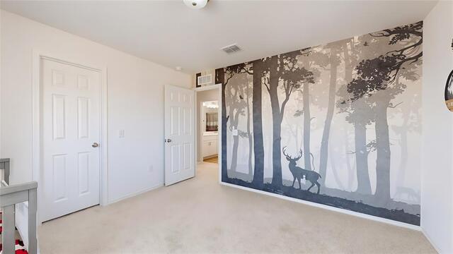 2520 Pecan Park, Drive Denton, TX photo 30