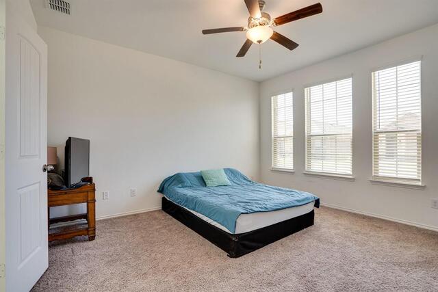 2349 Opaline Drive, Little Elm, TX photo 16