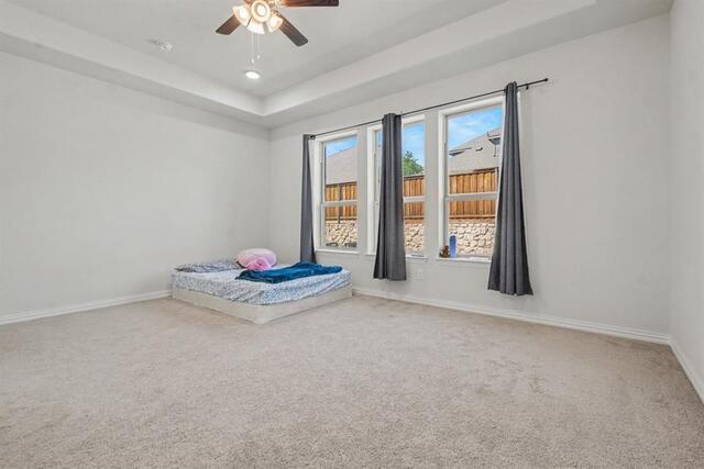 3804 Pearlwood Road, Little Elm, TX photo 8