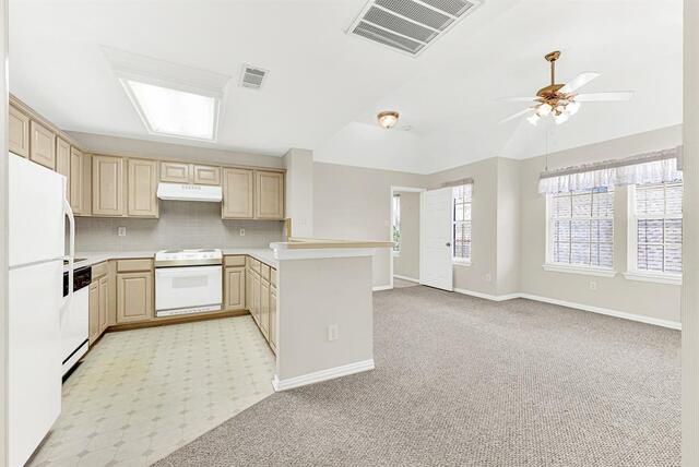 4020 Mayflower, Lane Plano, TX photo 10