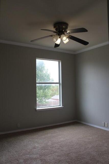 4601 Napa Valley, Drive Denton, TX photo 13