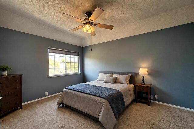 10912 Reisling, Drive Frisco, TX photo 19