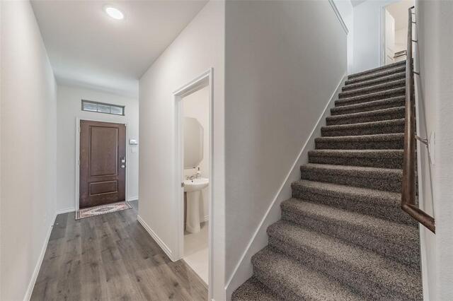 317 Willowmore Drive, Little Elm, TX photo 5