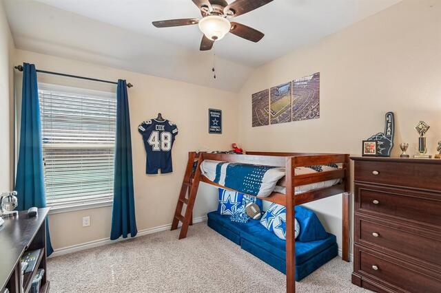 821 Mist Flower Drive, Little Elm, TX photo 22