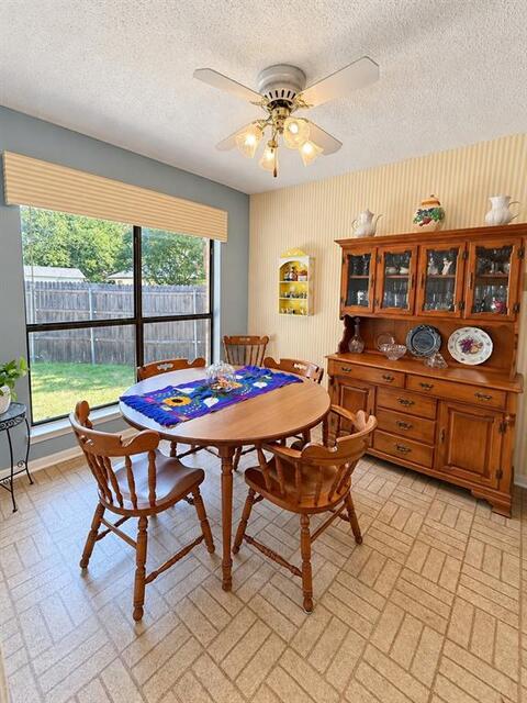 929 Reno, Street Lewisville, TX photo 6
