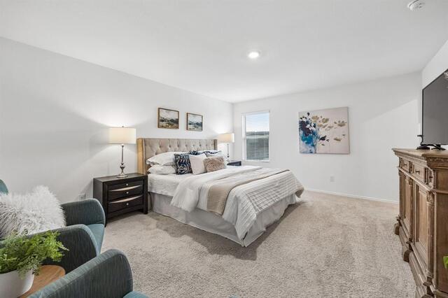 3501 Harper Street, Little Elm, TX photo 19