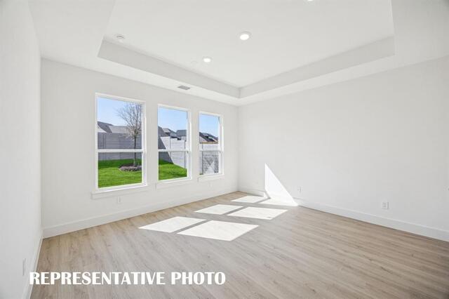 1809 Vetiver Glow, Drive Celina, TX photo 10
