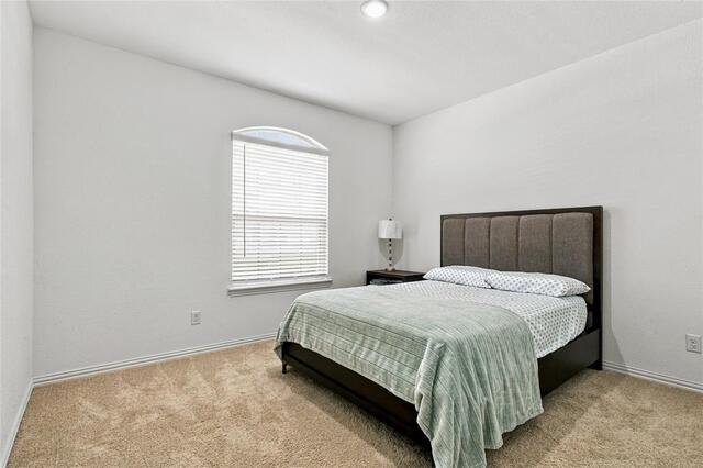8709 Red Fox, Trail McKinney, TX photo 27