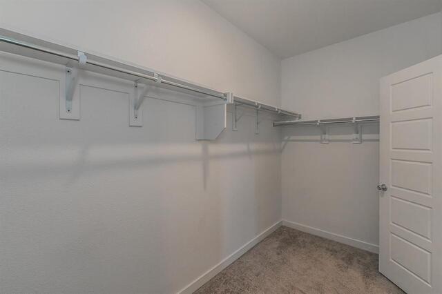 1804 Spoonbill Drive, Little Elm, TX photo 16