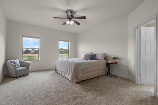 304 Creekside, Trail Argyle, TX photo 21