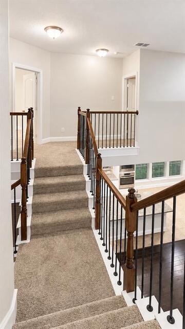 2909 Mountain Creek, Drive McKinney, TX photo 30